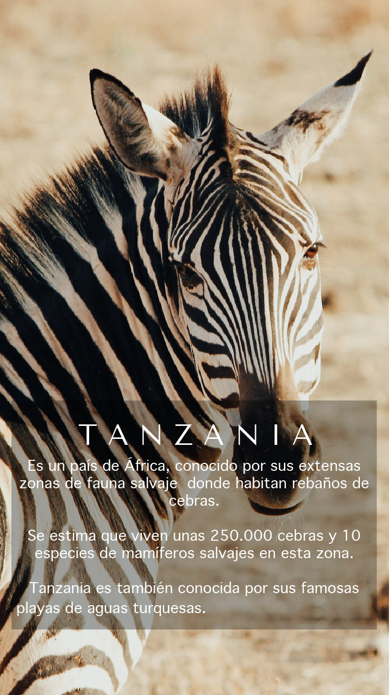 Tanzania strapless-vuelo