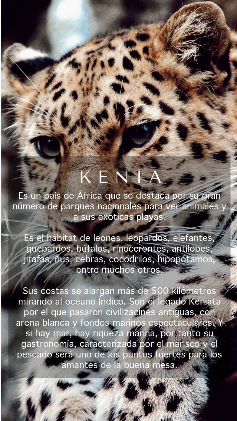 Kenia de un hombro